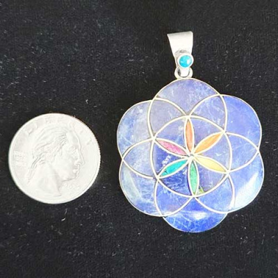 np325_coin
