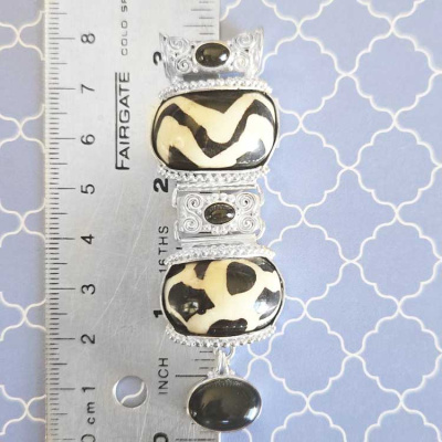 pv860_ruler