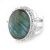 Labradorite Locket Ring