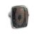 Crinoidal Fossil Ring